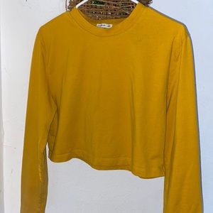 Long sleeve cropped shirt